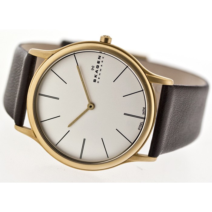 Skagen Leather Classic 858XLGLD, Skagen Leather Classic 858XLGLD prices, Skagen Leather Classic 858XLGLD photos, Skagen Leather Classic 858XLGLD features, Skagen Leather Classic 858XLGLD reviews