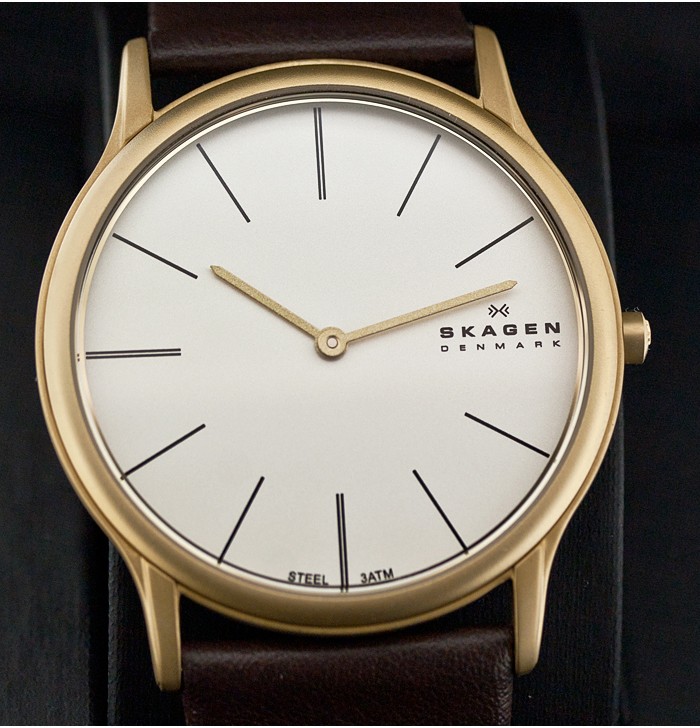 Skagen Leather Classic 858XLGLD, Skagen Leather Classic 858XLGLD prices, Skagen Leather Classic 858XLGLD photos, Skagen Leather Classic 858XLGLD features, Skagen Leather Classic 858XLGLD reviews