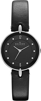 Skagen Leather Classic SKW2011, Skagen Leather Classic SKW2011 price, Skagen Leather Classic SKW2011 photo, Skagen Leather Classic SKW2011 specifications, Skagen Leather Classic SKW2011 reviews