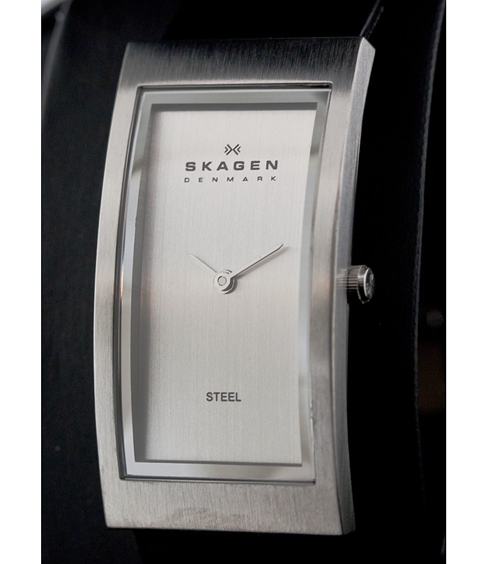 Skagen Leather Rectangular 359USLC, Skagen Leather Rectangular 359USLC price, Skagen Leather Rectangular 359USLC pictures, Skagen Leather Rectangular 359USLC characteristics, Skagen Leather Rectangular 359USLC reviews