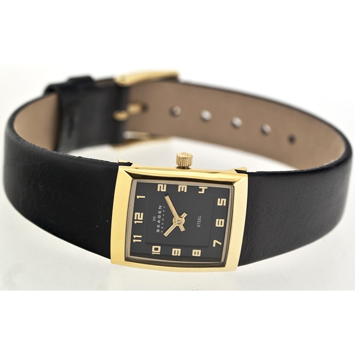 Skagen Leather Rectangular 523XSGLB, Skagen Leather Rectangular 523XSGLB price, Skagen Leather Rectangular 523XSGLB picture, Skagen Leather Rectangular 523XSGLB specs, Skagen Leather Rectangular 523XSGLB reviews