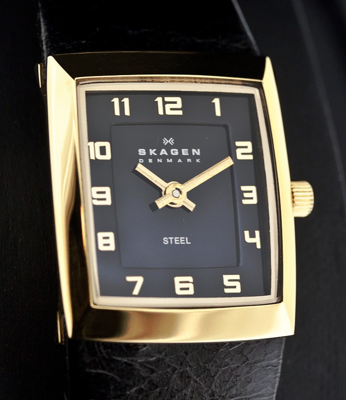 Skagen Leather Rectangular 523XSGLB, Skagen Leather Rectangular 523XSGLB price, Skagen Leather Rectangular 523XSGLB picture, Skagen Leather Rectangular 523XSGLB specs, Skagen Leather Rectangular 523XSGLB reviews