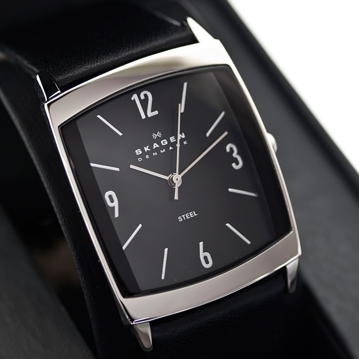 Skagen Leather Rectangular 691LSLB, Skagen Leather Rectangular 691LSLB price, Skagen Leather Rectangular 691LSLB photo, Skagen Leather Rectangular 691LSLB specifications, Skagen Leather Rectangular 691LSLB reviews