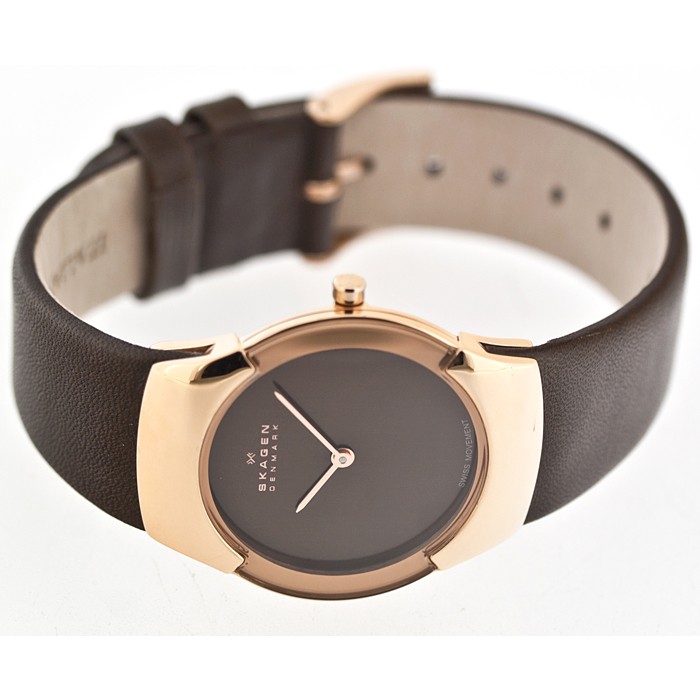 Skagen Leather Swiss 582SRLM, Skagen Leather Swiss 582SRLM prices, Skagen Leather Swiss 582SRLM photos, Skagen Leather Swiss 582SRLM characteristics, Skagen Leather Swiss 582SRLM reviews