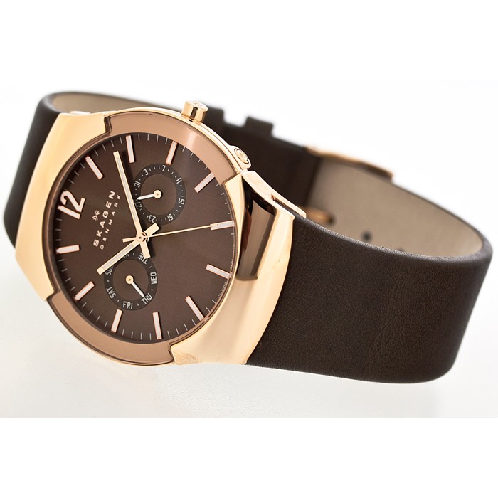 Skagen Leather Swiss 583XLRLM, Skagen Leather Swiss 583XLRLM price, Skagen Leather Swiss 583XLRLM pictures, Skagen Leather Swiss 583XLRLM characteristics, Skagen Leather Swiss 583XLRLM reviews