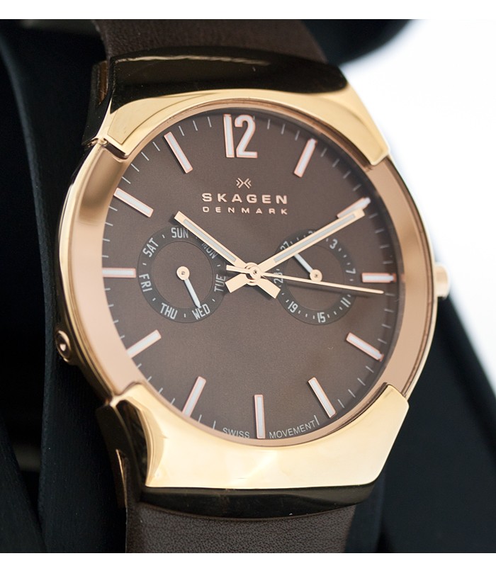 Skagen Leather Swiss 583XLRLM, Skagen Leather Swiss 583XLRLM price, Skagen Leather Swiss 583XLRLM pictures, Skagen Leather Swiss 583XLRLM characteristics, Skagen Leather Swiss 583XLRLM reviews