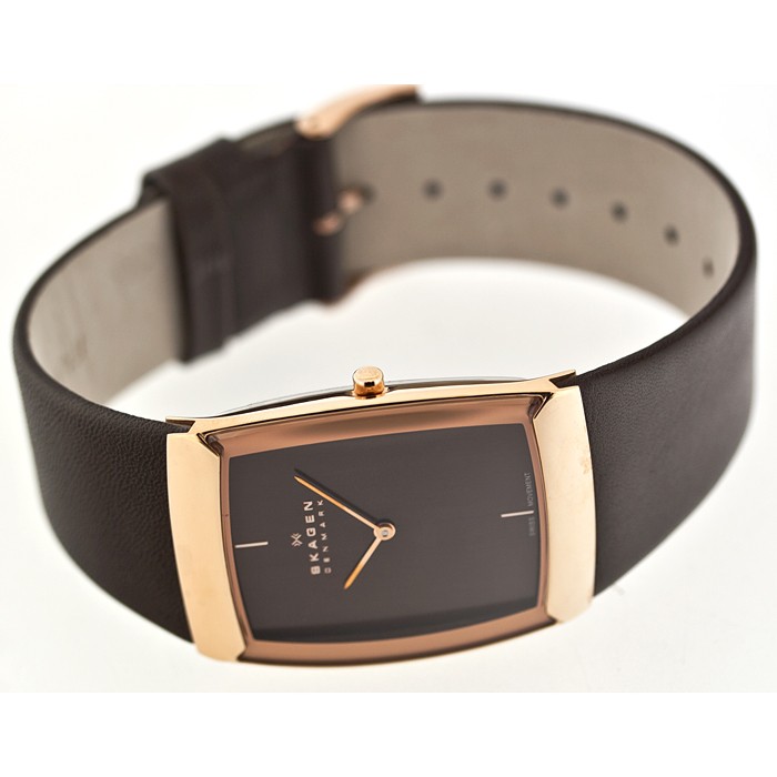 Skagen Leather Swiss 584LRLM, Skagen Leather Swiss 584LRLM prices, Skagen Leather Swiss 584LRLM photo, Skagen Leather Swiss 584LRLM specifications, Skagen Leather Swiss 584LRLM reviews