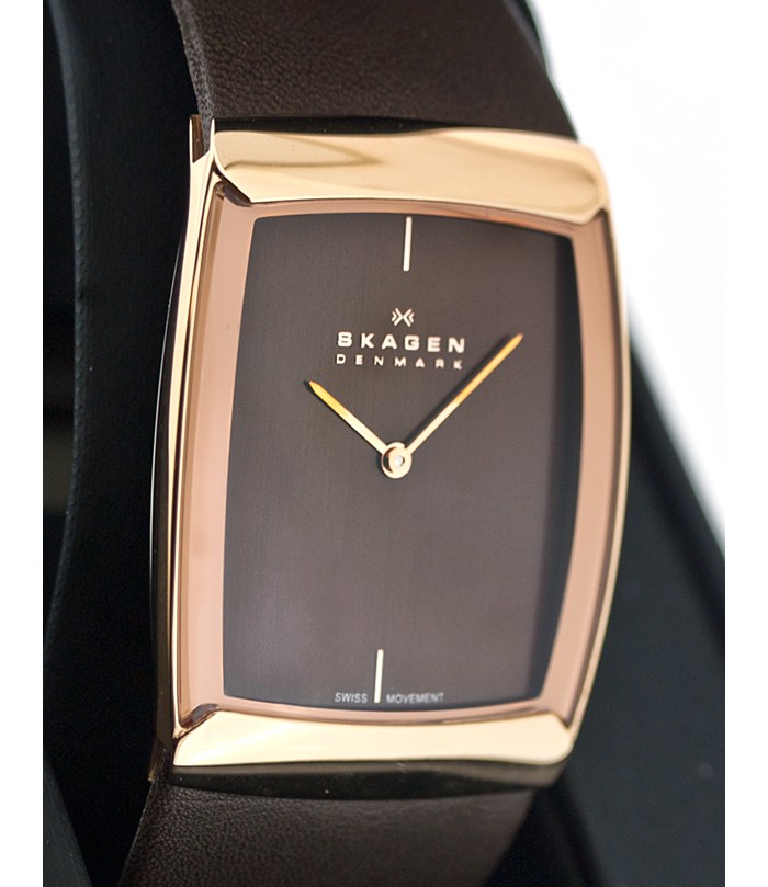 Skagen Leather Swiss 584LRLM, Skagen Leather Swiss 584LRLM prices, Skagen Leather Swiss 584LRLM photo, Skagen Leather Swiss 584LRLM specifications, Skagen Leather Swiss 584LRLM reviews