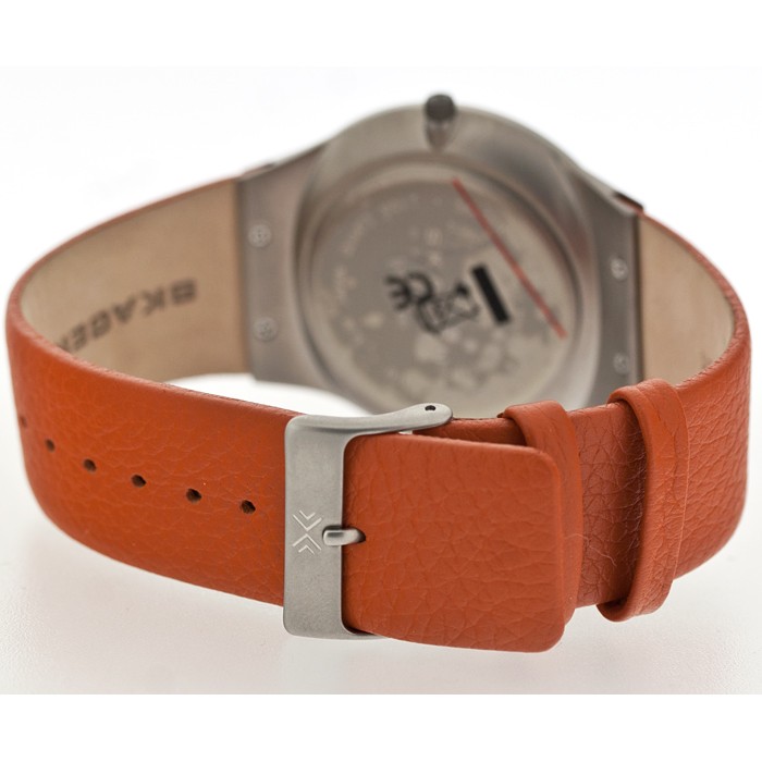 Skagen Leather Titanium 234XXLTLO, Skagen Leather Titanium 234XXLTLO price, Skagen Leather Titanium 234XXLTLO photos, Skagen Leather Titanium 234XXLTLO specs, Skagen Leather Titanium 234XXLTLO reviews