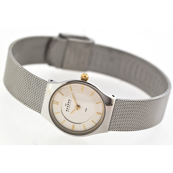 Skagen Mesh Classic 233XSGSC, Skagen Mesh Classic 233XSGSC prices, Skagen Mesh Classic 233XSGSC photo, Skagen Mesh Classic 233XSGSC specs, Skagen Mesh Classic 233XSGSC reviews