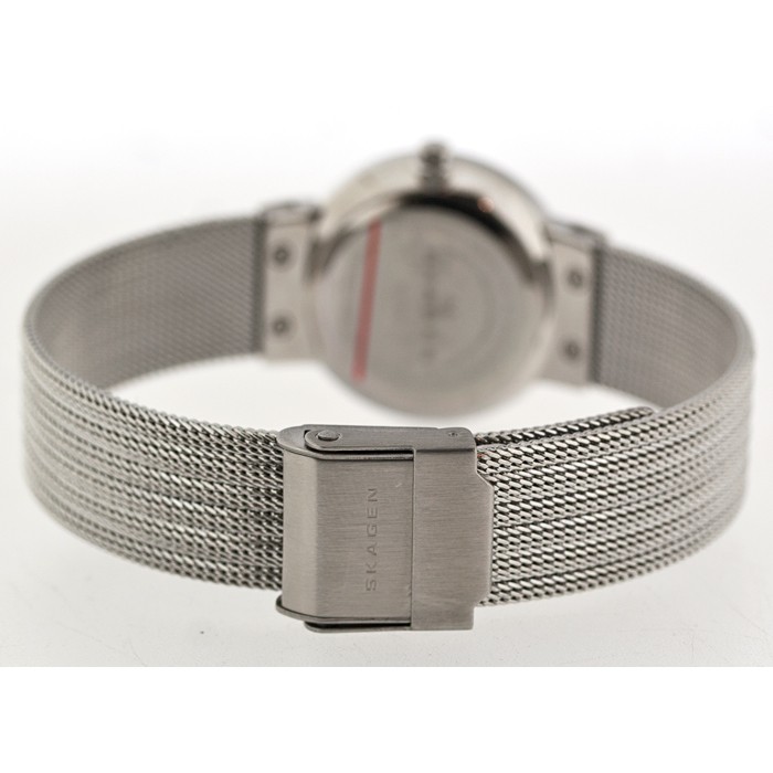 Skagen Mesh Classic 355SSS1, Skagen Mesh Classic 355SSS1 prices, Skagen Mesh Classic 355SSS1 photo, Skagen Mesh Classic 355SSS1 features, Skagen Mesh Classic 355SSS1 reviews