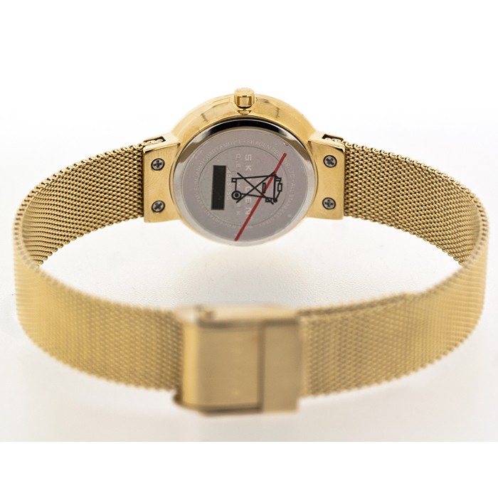 Skagen Mesh Classic 456SGSG, Skagen Mesh Classic 456SGSG prices, Skagen Mesh Classic 456SGSG photos, Skagen Mesh Classic 456SGSG characteristics, Skagen Mesh Classic 456SGSG reviews