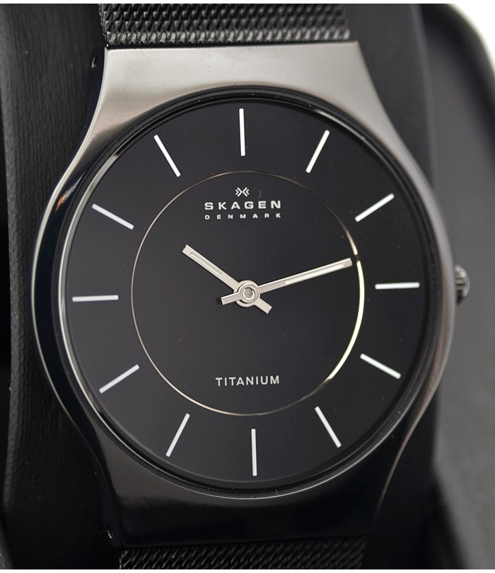 Skagen Titanium Mesh 233LTMB, Skagen Titanium Mesh 233LTMB prices, Skagen Titanium Mesh 233LTMB photo, Skagen Titanium Mesh 233LTMB specs, Skagen Titanium Mesh 233LTMB reviews