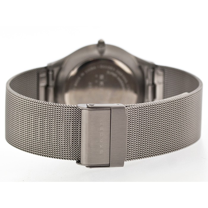 Skagen Titanium Mesh 233XLTTN, Skagen Titanium Mesh 233XLTTN price, Skagen Titanium Mesh 233XLTTN photo, Skagen Titanium Mesh 233XLTTN characteristics, Skagen Titanium Mesh 233XLTTN reviews