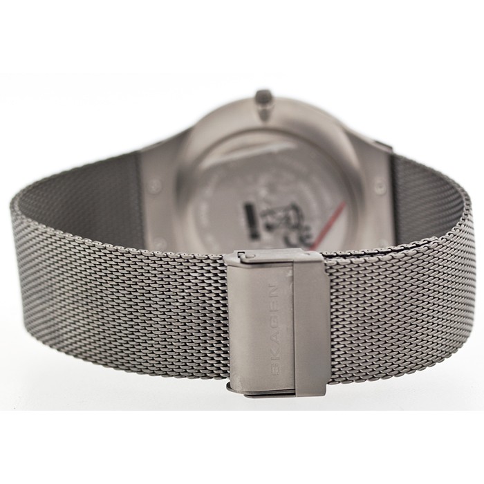 Skagen Titanium Mesh 234XXLT, Skagen Titanium Mesh 234XXLT prices, Skagen Titanium Mesh 234XXLT photo, Skagen Titanium Mesh 234XXLT features, Skagen Titanium Mesh 234XXLT reviews