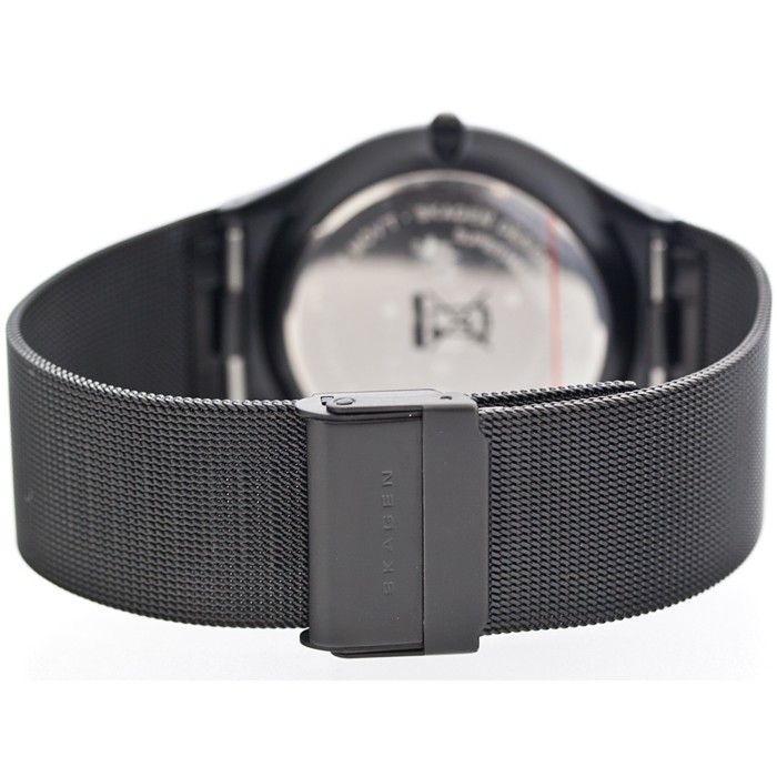 Skagen Titanium Mesh 805XLTBD, Skagen Titanium Mesh 805XLTBD price, Skagen Titanium Mesh 805XLTBD pictures, Skagen Titanium Mesh 805XLTBD specs, Skagen Titanium Mesh 805XLTBD reviews