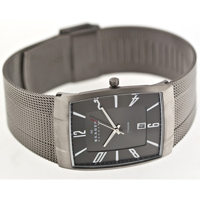 Skagen Titanium Mesh 851LTTM, Skagen Titanium Mesh 851LTTM prices, Skagen Titanium Mesh 851LTTM photo, Skagen Titanium Mesh 851LTTM specifications, Skagen Titanium Mesh 851LTTM reviews