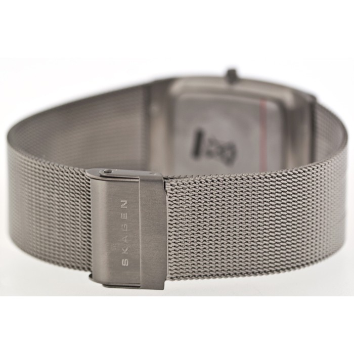 Skagen Titanium Mesh 851LTTM, Skagen Titanium Mesh 851LTTM prices, Skagen Titanium Mesh 851LTTM photo, Skagen Titanium Mesh 851LTTM specifications, Skagen Titanium Mesh 851LTTM reviews