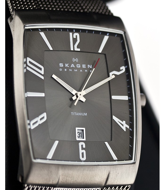 Skagen Titanium Mesh 851LTTM, Skagen Titanium Mesh 851LTTM prices, Skagen Titanium Mesh 851LTTM photo, Skagen Titanium Mesh 851LTTM specifications, Skagen Titanium Mesh 851LTTM reviews